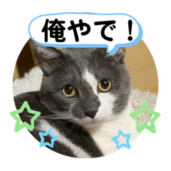 KUU_20191124041109