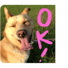 natsumi_20191124135717