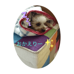 Sally_20191124151310