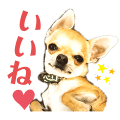 Junko_20191124160020