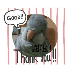 鳥兒們的表情包