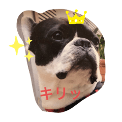 miwa_20191124184909