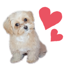 Nanami_20191124171433