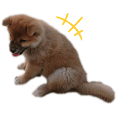 monaka_20191124165622