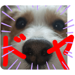 matsu_20191124184019