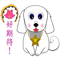 Ching yuan dog - Looking forward