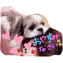 pyon_20191124210923