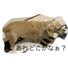 akiko_20191124213255