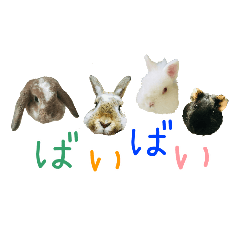 うちの子シリーズ『4 家族』