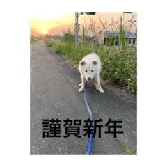 jun_20191124214217