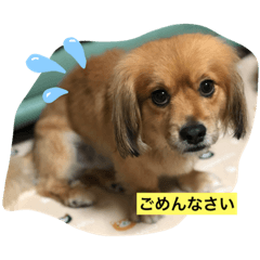 natsumi_20191124233824