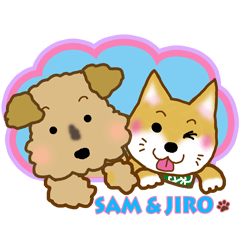 Welsh Terrier SAM & Shiba Inu JIRO