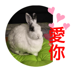 ～派翠西雅殿下～