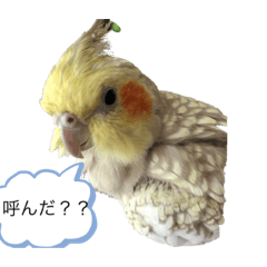 hiroto_20191125095316