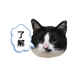 satoshi_20191125154302