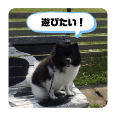 ken_20191125184254