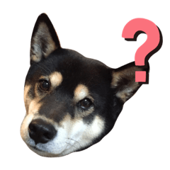 smile_20191125173221