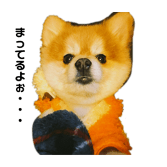 Jack_20191125175124