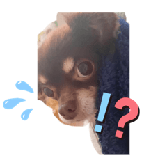 nanami_20191125195734