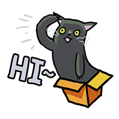 Gray cat in the box