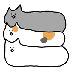 Fluffy kitty cat