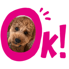 kazuki_20191125165538