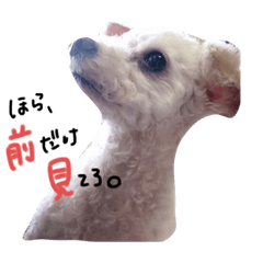Moka_20191125172309