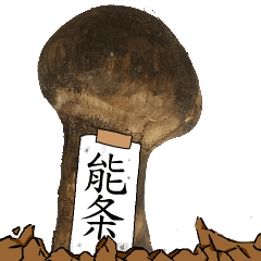 松茸研究家能条さんのマツタケ