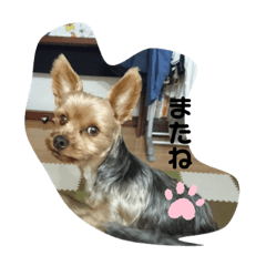 Sally_20191125215348