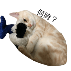 Nozomi_20191125233927