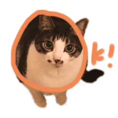 Asuka_20191125235713