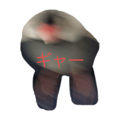 Ann_20191126080442