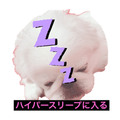 kawaii!!!!!!!!
