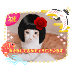 chi_20191125231105