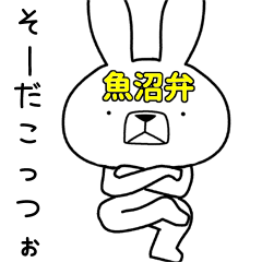 Dialect rabbit [uonuma3]
