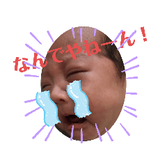 HIKARI_20191126123838