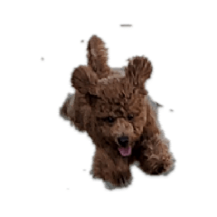 kuu_20191126124142