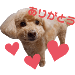 natsumi_20191126074849