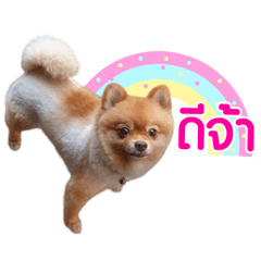 Nong Mulee....