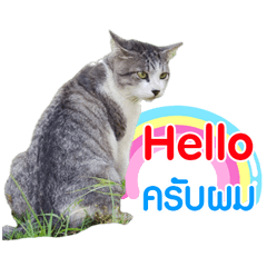 Love2Give