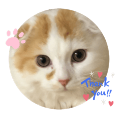 milky_20191126050242
