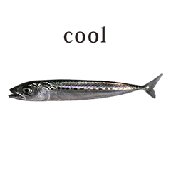 sakana fish B5 English
