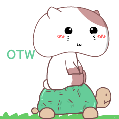 Coco the chubby cat 2