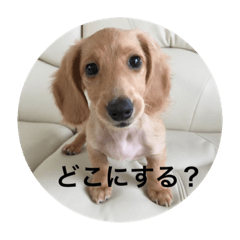 REI_20191122160138