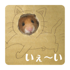 Minami_20191126160033