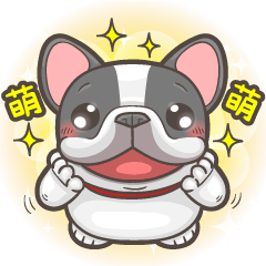 French Bulldog HAN-JI (Sticker I )