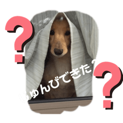 HA_20191126160652