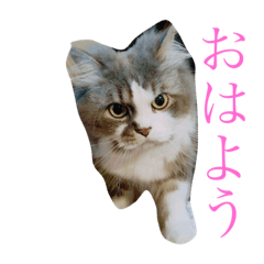rika_20191126181255