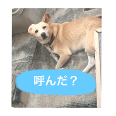 MOKO_20191126213556