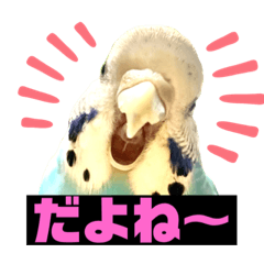 TAKE_20191126210410